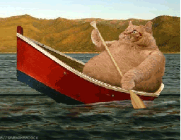 Fat Cat Rowing A Boat
